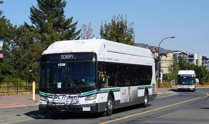 BC Transit New Flyer Xcelsior XN40 1239 & 1155